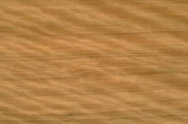 a close-up of a wood grain