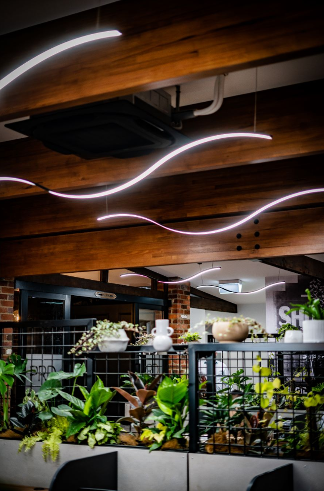 Deep wood roof trusses exposed in an office setting with curved hanging lights