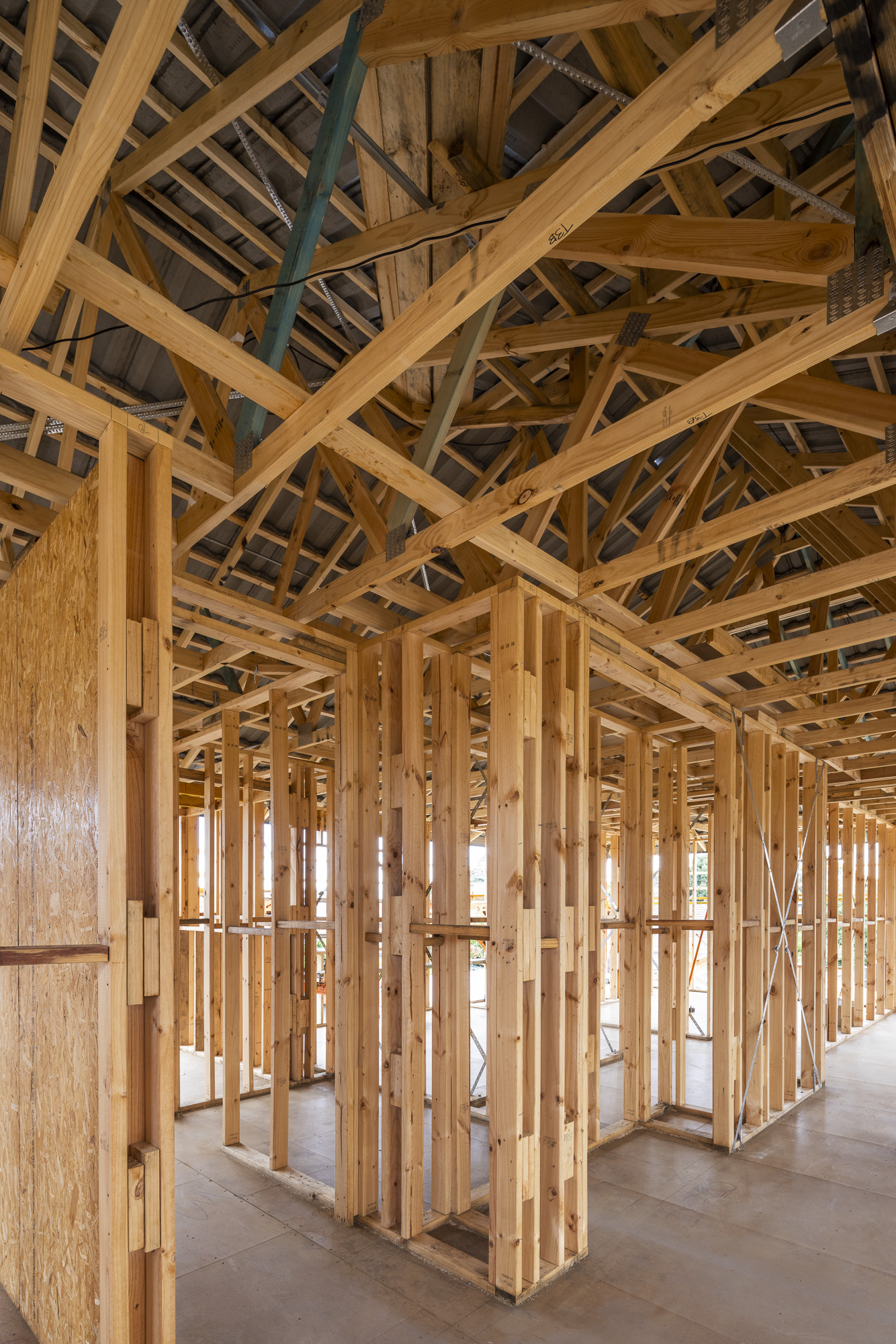 Interior timber frame of house