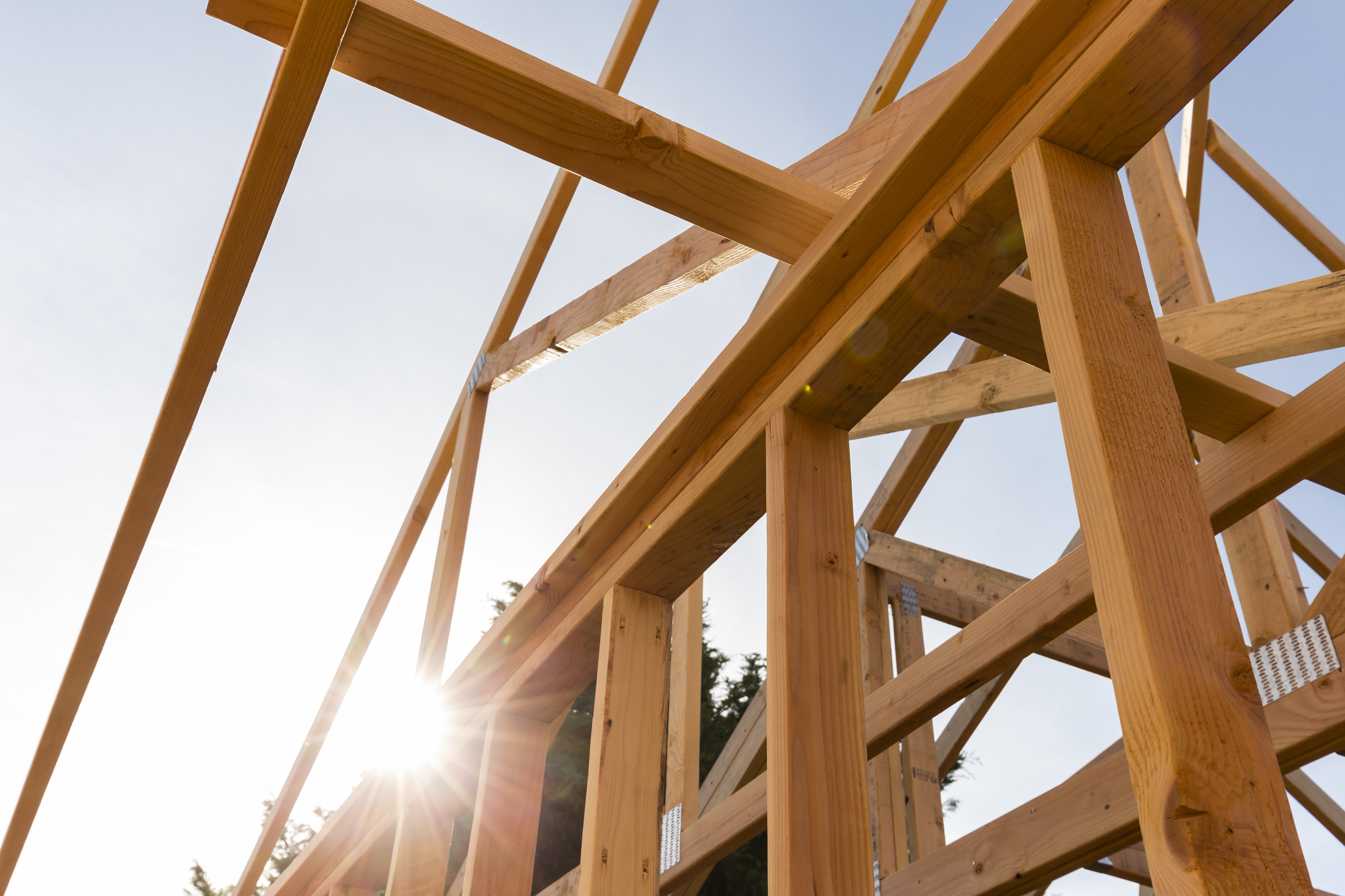 Sun shining through timber frame roof