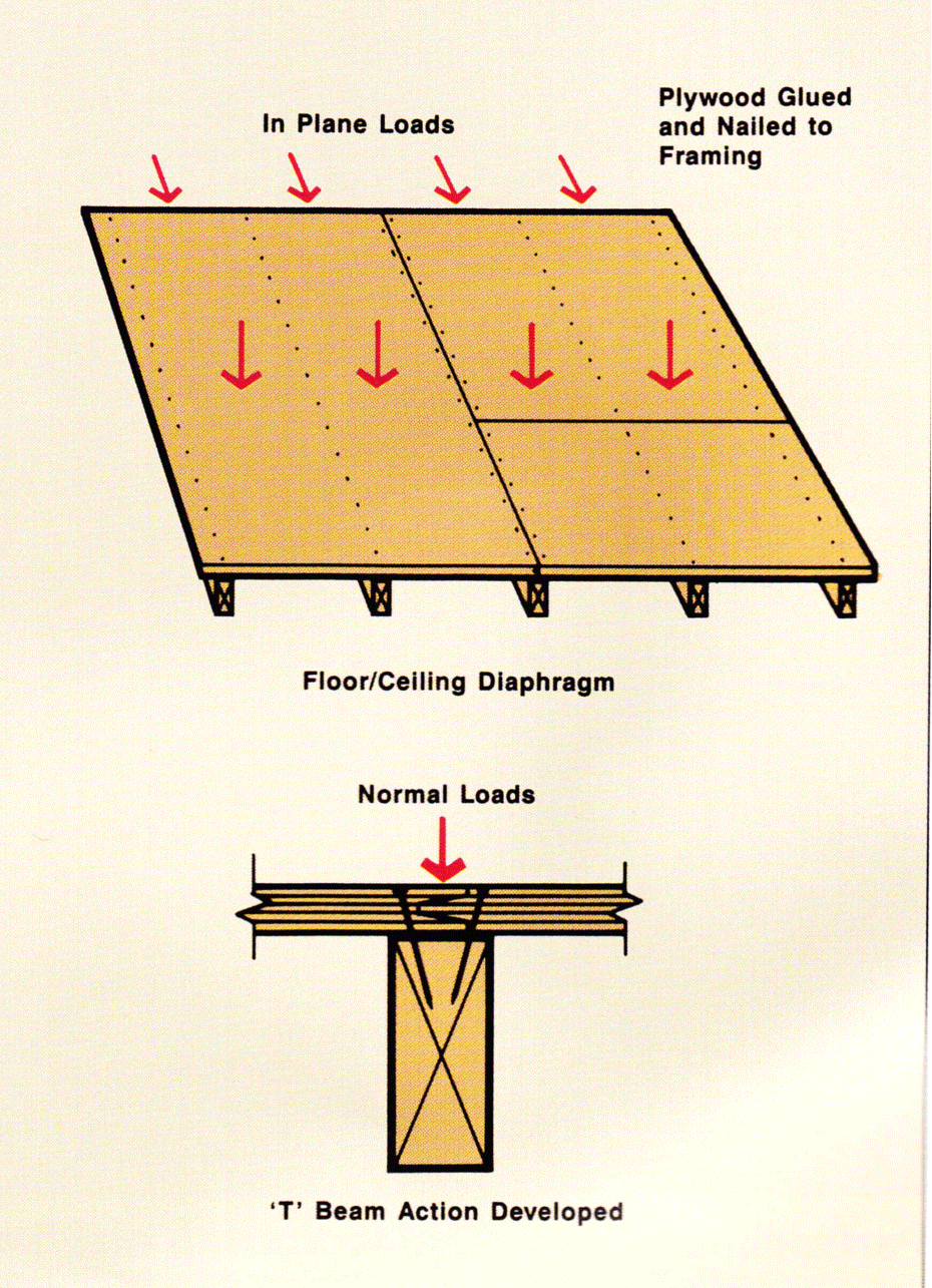 Shear Image 2