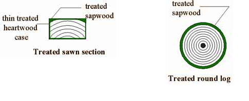 a diagram of a tree