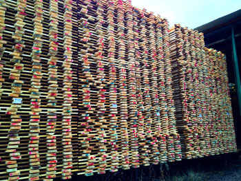 Finnish mill (1): Like match sticks. Freshly cut pieces waiting entry into the kiln. 