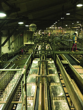 Like a mirror. The factory is mirrored to work on both sides of the logs simultaneously