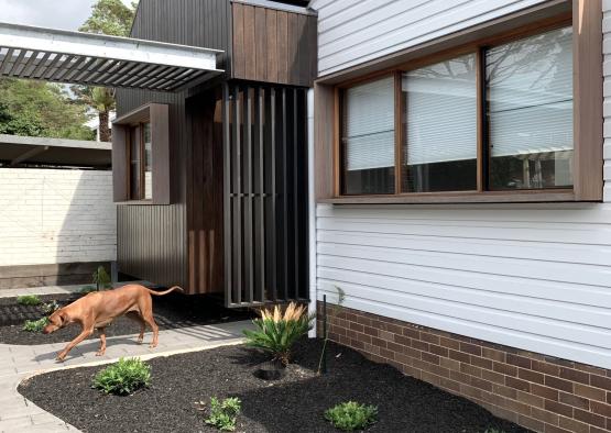 a dog running in front of a house