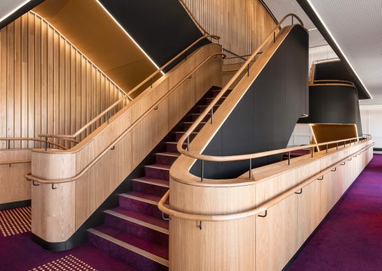 a staircase with purple carpet and wooden railings