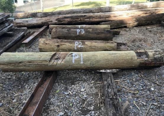 a group of logs on the ground