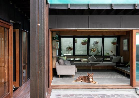 a dog lying on a patio