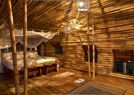 a room with a bed and a canopy over a wood floor