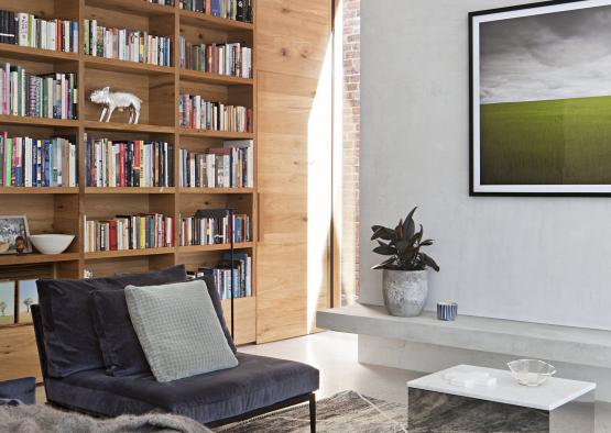 a living room with a bookcase and a couch