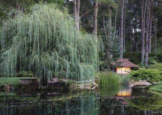 a pond with a small building and a tree