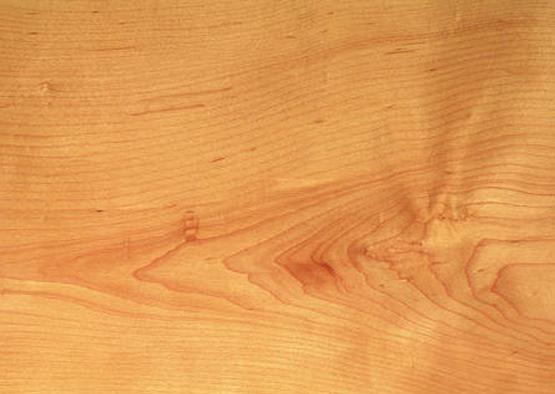 https://www.woodsolutions.com.au/sites/default/files/styles/detail_image/public/Acer-saccharum-Hard-Maple.jpg?itok=mqwLSaAV