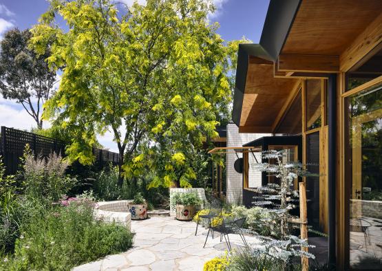 a patio with plants and trees in the background