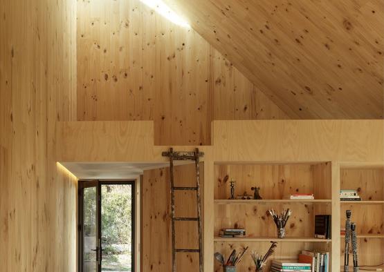 a room with a ladder and shelves