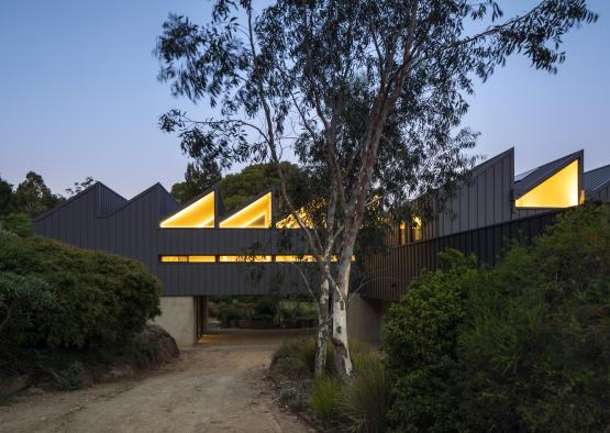 a building with a tree and a path