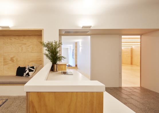 a white and wooden room with a plant on the counter