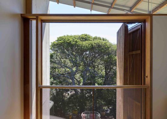 a window with a view of a tree and a car