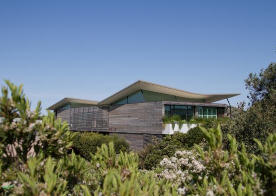 a building with a roof and plants in the background