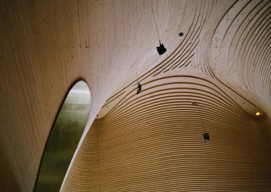 a wood wall with a curved pattern