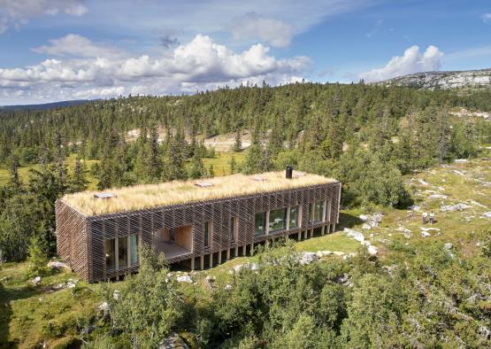 a building with grass on the roof surrounded by trees