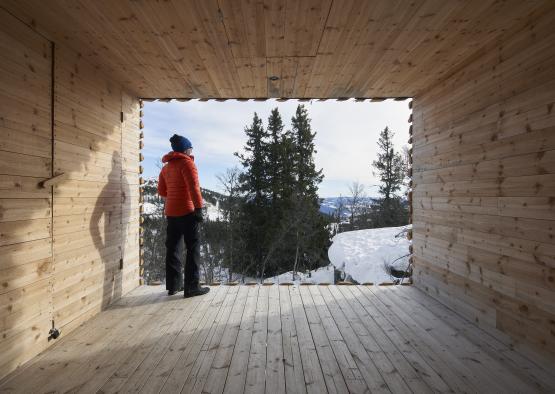 a person standing in a room with trees in the background