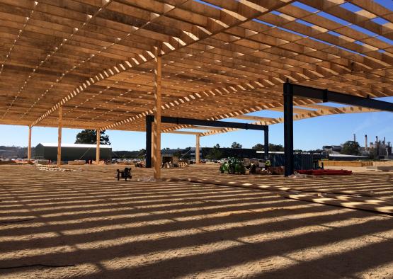 a structure under construction with shadows on the ground