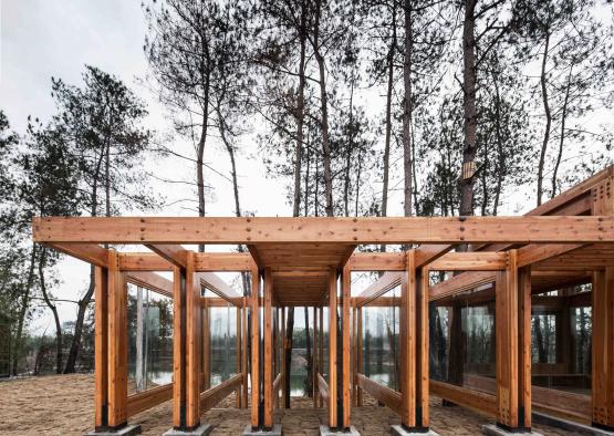 a wooden structure with glass walls and trees