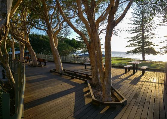 a wooden deck with trees and benches