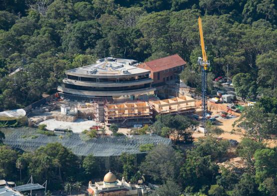 a building under construction with trees and a crane