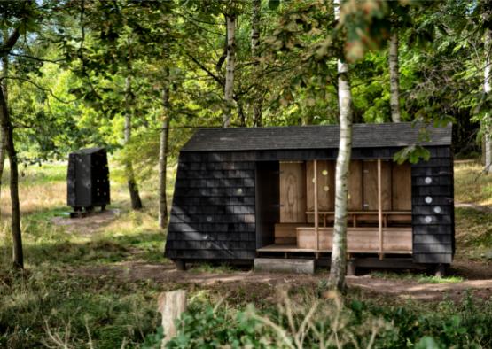 a small black building in the woods