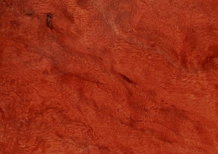 Gum, River Red | WoodSolutions