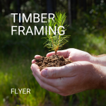 Pair of hands holding dirt and pine tree seedling