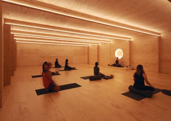 Egg of the Universe South Eveleigh Yoga Studio by Brewer Architects.