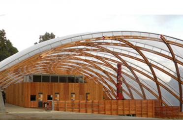 a wooden structure with a curved roof